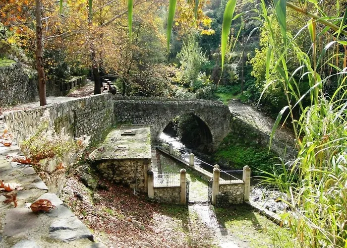 Archontiko I Misirlou Gospodarstwo wiejskie Kalopanajotis